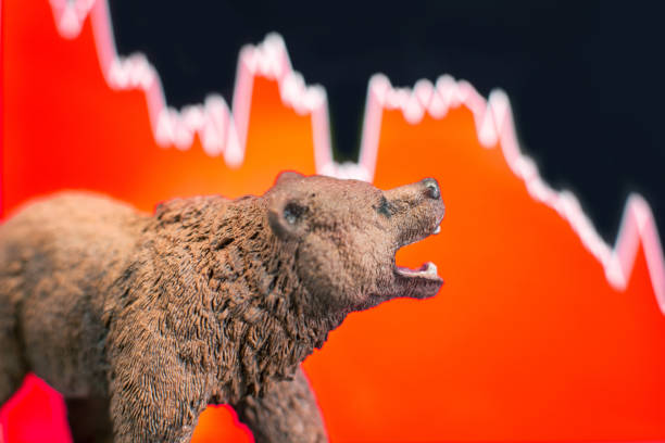 Thị trường Gấu Bear Market thị trường giá giảm