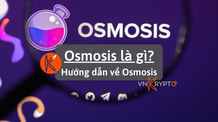 Osmosis là gì Hướng dẫn về Osmosis