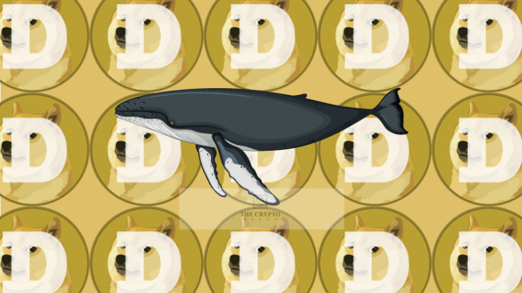 Cá voi mua 400 triệu Dogecoin (DOGE) với giá 31,6 triệu đô la