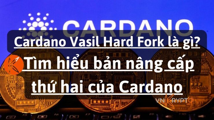 Cardano Vasil Hard Fork là gì? Tìm hiểu bản nâng cấp thứ hai của Cardano