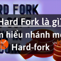 Hard Fork là gì? Tìm hiểu nhánh cứng Hard-fork