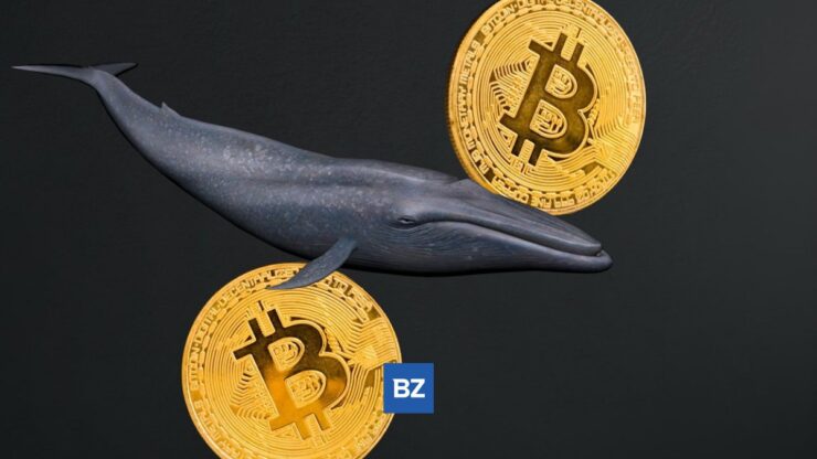 Cá voi Bitcoin ẩn danh vừa chuyển được số BTC trị giá 66 triệu đô la khỏi Coinbase