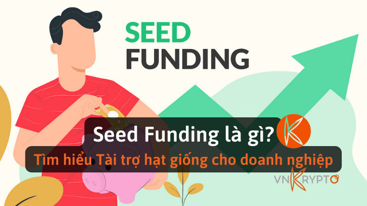 Seed Funding là gì? Tìm hiểu Tài trợ hạt giống cho doanh nghiệp