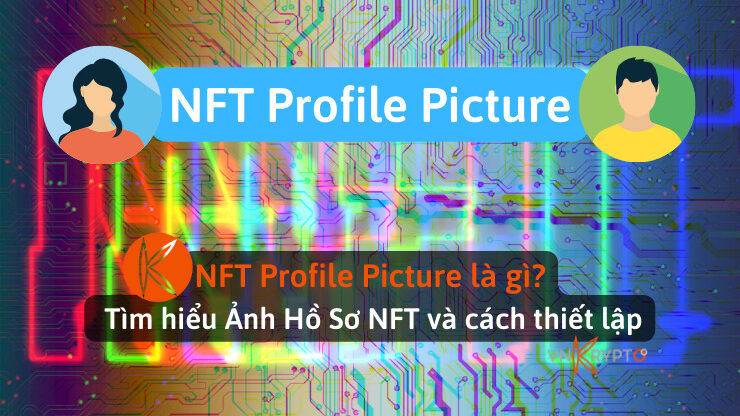 NFT Profile Picture là gì? Tìm hiểu Ảnh Hồ Sơ NFT và cách thiết lập