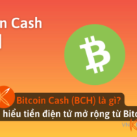 Bitcoin Cash (BCH) là gì? Tìm hiểu tiền điện tử mở rộng từ Bitcoin