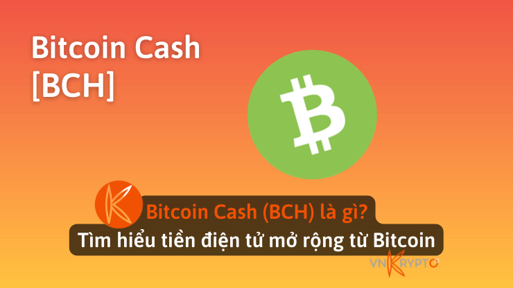 Bitcoin Cash (BCH) là gì? Tìm hiểu tiền điện tử mở rộng từ Bitcoin